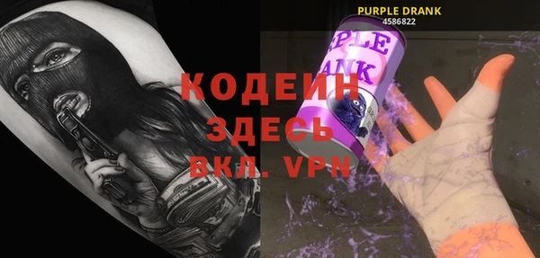 хмурый Алзамай