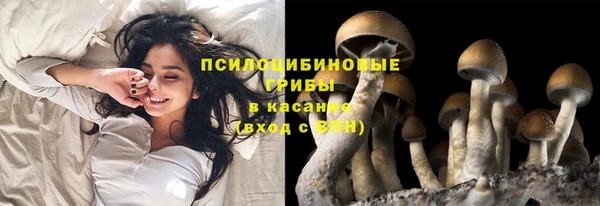 хмурый Алзамай