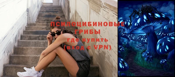 spice Алексин